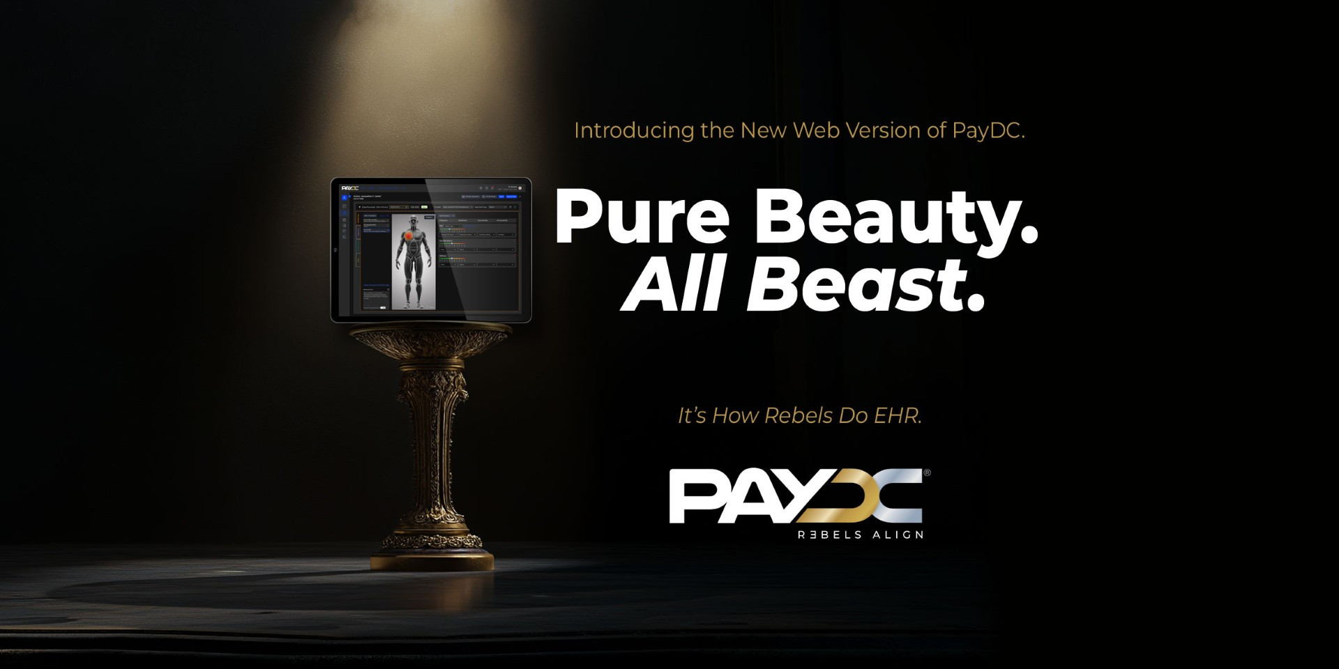 Paydc Chiropractic Software EMR Software Comp USA