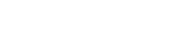 Big Fish App Development Studio AI Software Comp USA