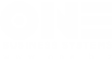 Custom Software Companies AI Software Comp USA