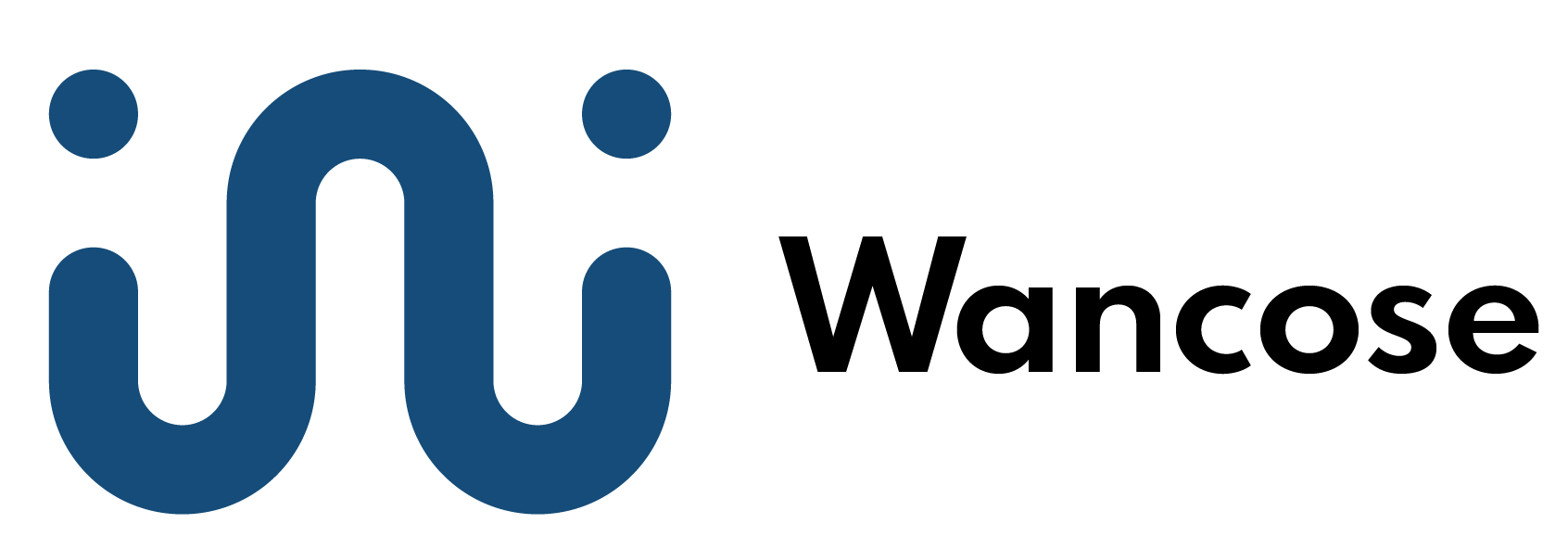 Wancose AI Software Comp USA