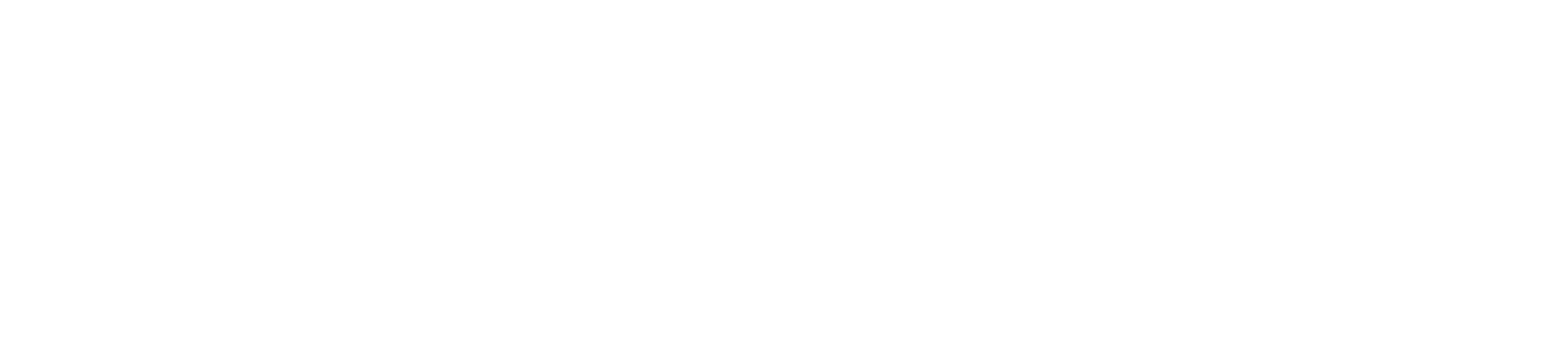Albanero AI Software Comp USA
