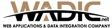 Wadic | Custom Software Development Company AI Software Comp USA