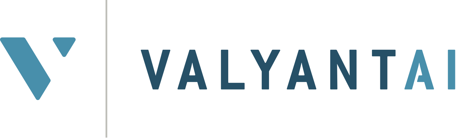 Valyant Ai AI Software Comp USA