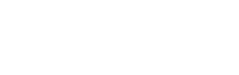 Desoto Consulting Llc CEM Software Comp USA