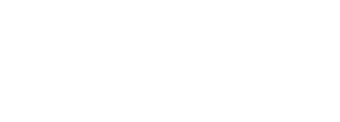 Devfi, Inc AI Software Comp USA