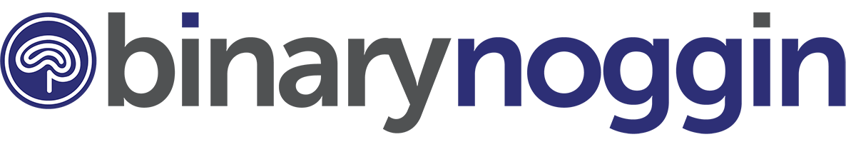 Binary Noggin AI Software Comp USA